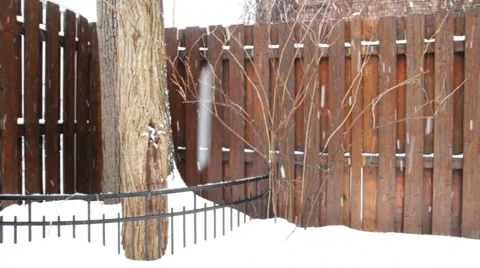 Snowing screenplay Stock Footage 2176506