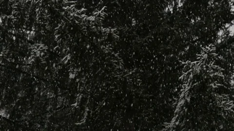 Snowing. Slow motion 96 fps. Stock Footage 71155782