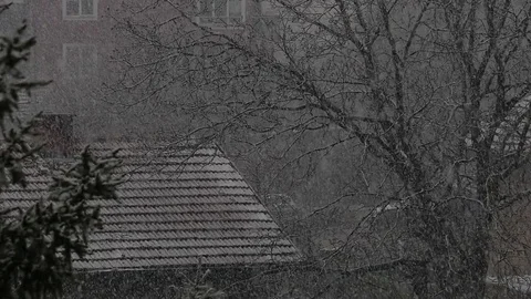 Snowing. Slow motion 96 fps. Stock Footage 71156068
