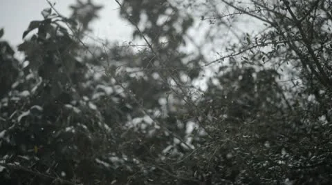 Snowing in slow motion Stock Footage 20521817