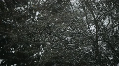Snowing in slow motion Stock Footage 20522055
