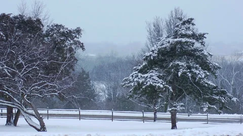 Snowing (slow motion) Stock Footage 32185432