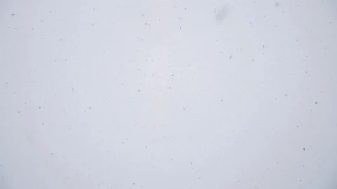 Snowing in slow motion Stock Footage 115502640