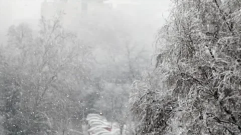 Snowing In Slow Motion Video stock 231058350