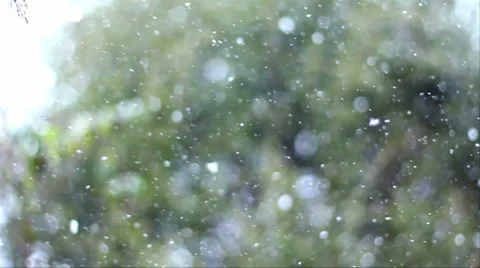 Snowing Slow-Motion HD Video stock 983911