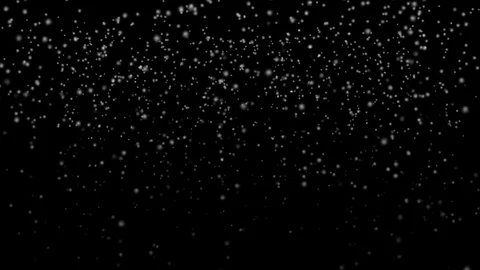 Snowing - Snow Falling From The Sky Stock Footage 98528158