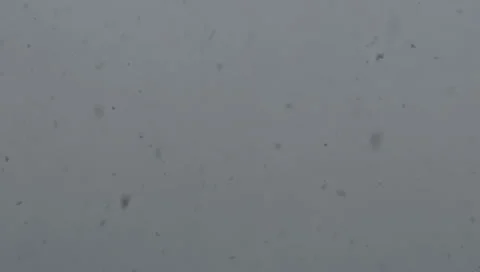 Snowing, snow flakes Stock Footage 9455606