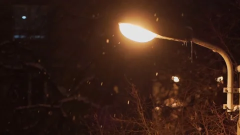 Snowing Snow Flakes Lighting Pole Night Time Stock Footage 149706726