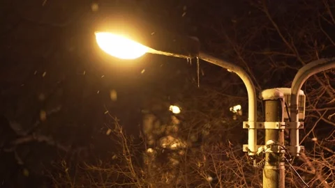 Snowing Snow Flakes Lighting Pole Night Time Stock Footage 149706880