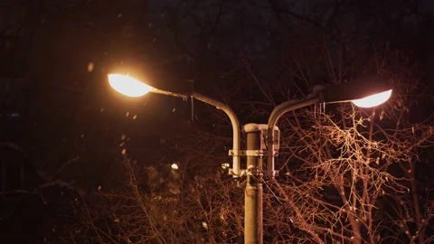 Snowing Snow Flakes Lighting Pole Night Time Stock Footage 149706883