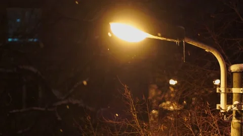 Snowing Snow Flakes Lighting Pole Night Time Stock Footage 149707008