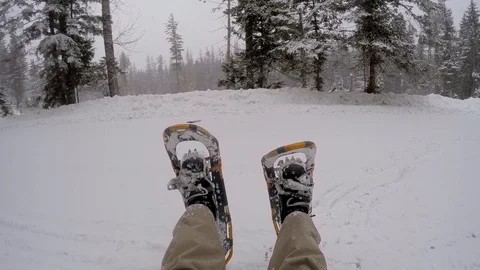 Snowing on snowshoes Stock Footage 86448722