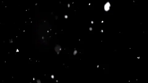Snowing softly with black background Stock Footage 97290961
