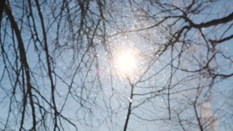 Snowing. The sun is shining into the camera. Slow motion. Stock Footage 150044768