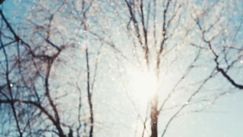 Snowing. The sun is shining into the camera. Slow motion. Stock Footage 150044777