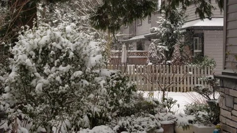 Snowing in townhouse complex. Plants covered with snow. Stockbeeldmateriaal 167525549