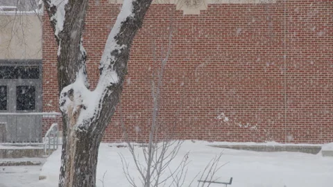 Snowing by tree and brick building in winter Stock Footage 295916818