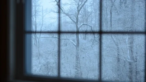 Snowing on Trees Outside Window Stock Footage 104164611