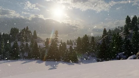 Snowing On The Trees Sunset Video stock 240861591