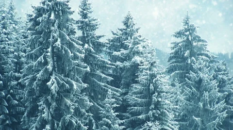 Snowing on trees. Winter in mountains. Seamless Stock Footage 44161289