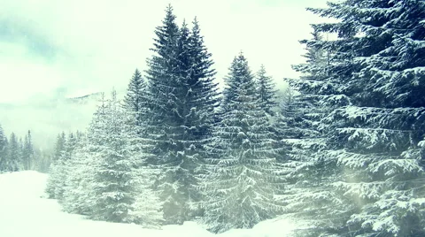 Snowing on trees. Winter in mountains. Seamless Stock Footage 44253319