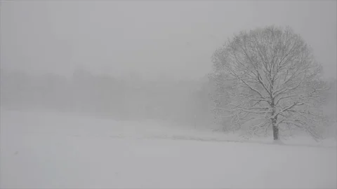 Snowing at Valley Forge, PA Video stock 111289674
