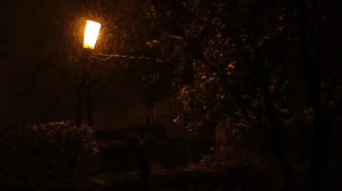 Snowing On Warm Street Light Stock Footage 46126594