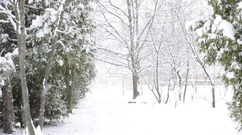 Snowing on white snowy background Stock Footage 44795925