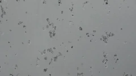 Snowing on window Stock-Footage 49263669
