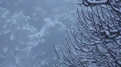 Snowing winter Video stock 47390203