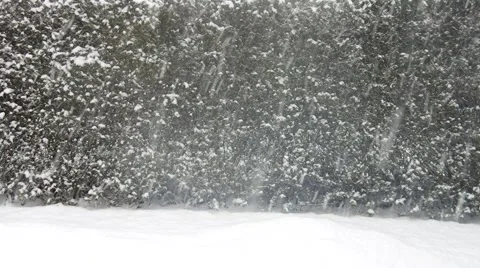 Snowing in winter Stock Footage 57639669