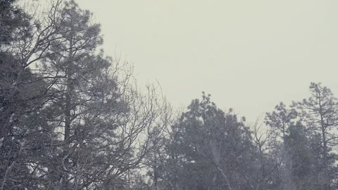 Snowing Winter Video stock 90995285