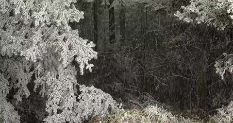 Snowing, winter landscape animation. Stock Footage 144276019