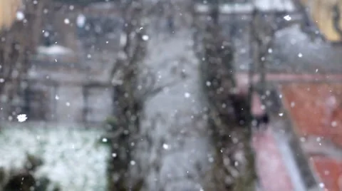 Snowing in winter at park 2 Stock Footage 2878450