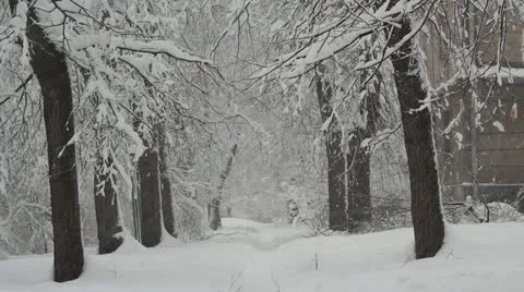 Snowing. Winter road Stock Footage
