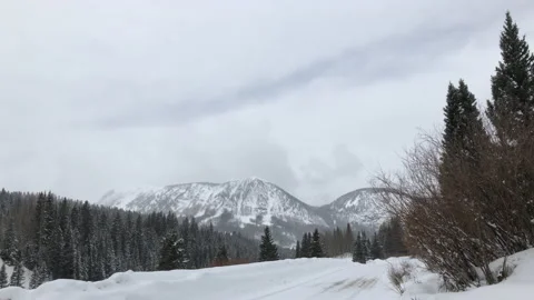 Snowing winter white sky pine trees mountain overcast Stock Footage 156939345