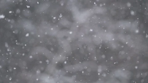 Snowing in the wood Stock Footage 127548416