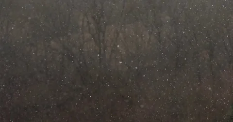 Snowing in The Woods, 4K Stock Footage 84970975