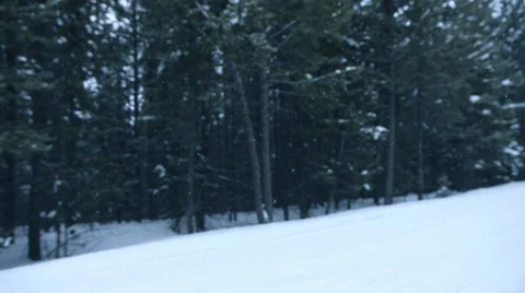Snowing in the Woods 스톡 동영상 61022387