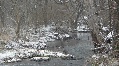 Snowing in the Woods by a Stream Stock Footage 33288288