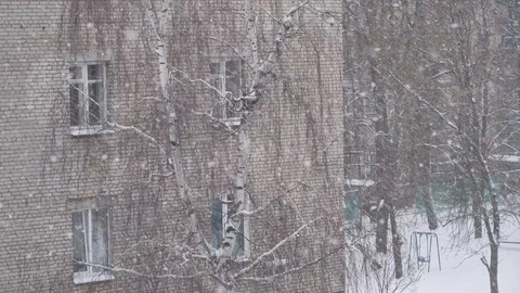 Snowing in the yard Stock Footage 100670417