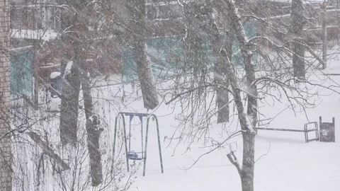 Snowing in the yard Stock Footage 100670445