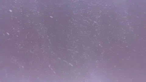 Snowlakes falls at night. Illuminated by violet lantern beam. Stock Footage 170180938