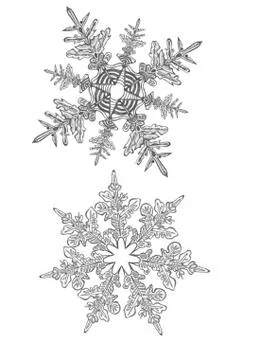 Snowlakes on the flat white background Stock Illustration