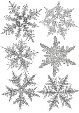 Snowlakes on the flat white background Stock Illustration