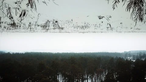 SnowLand Stock Footage 86900154