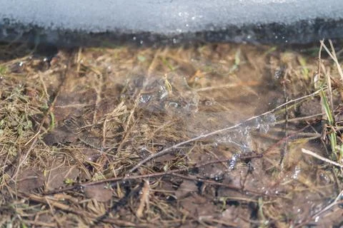 Snowline retreat over muddy grass and tiny ice crystals, thin snow edge melting Stock Photos