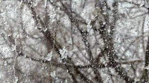 Snowly glass window Stock Footage 6930398