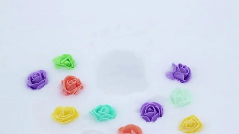 Snowman and flowers Stock Footage 70574598