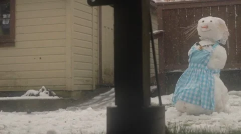 Snowman in the back yard Stock Footage 59111469